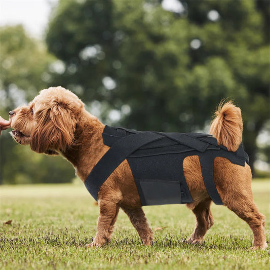 Faja Lumbar Ortopédica para Perros - Soporte IVDD