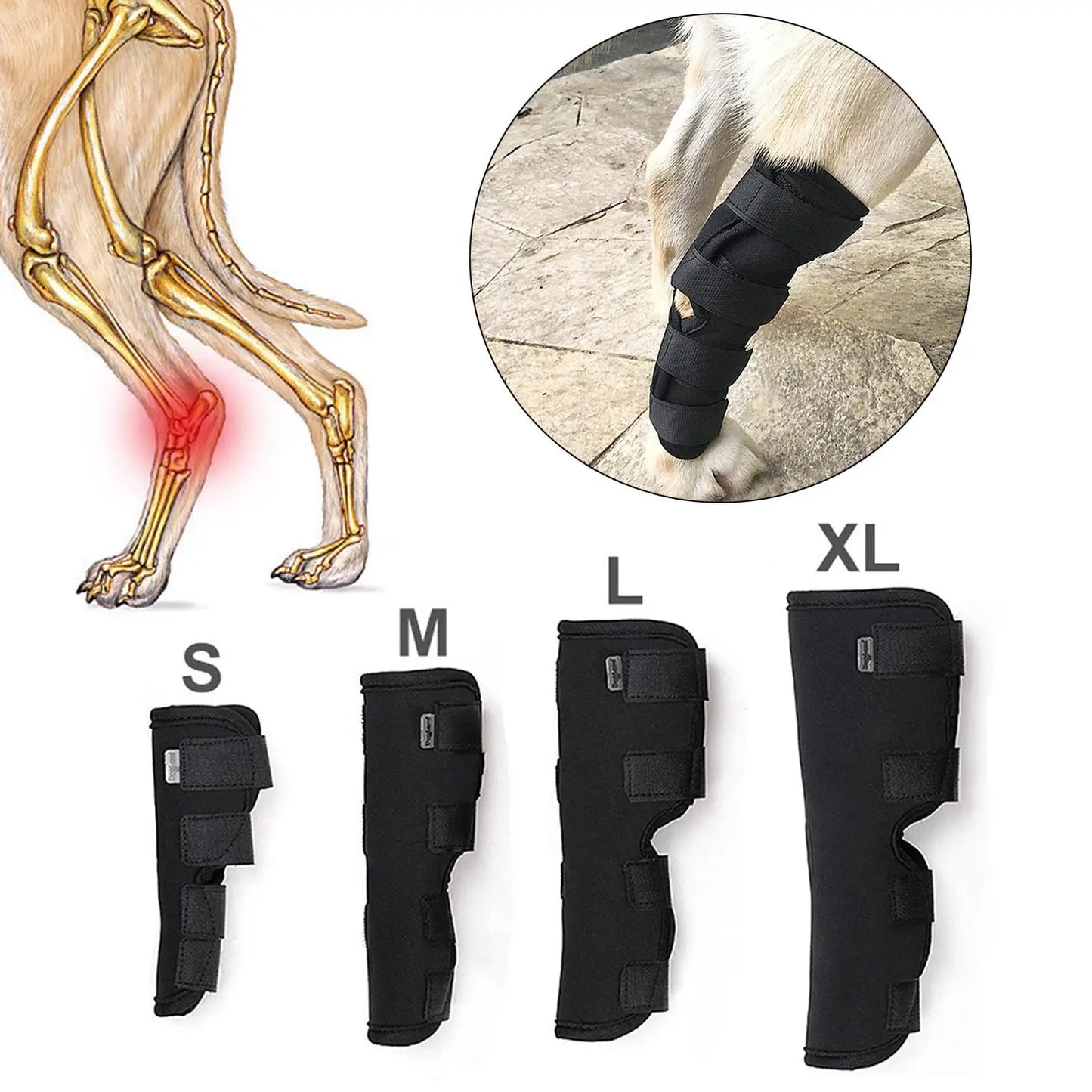Protector Ortopédico de Codo y Rodilla para Perros
