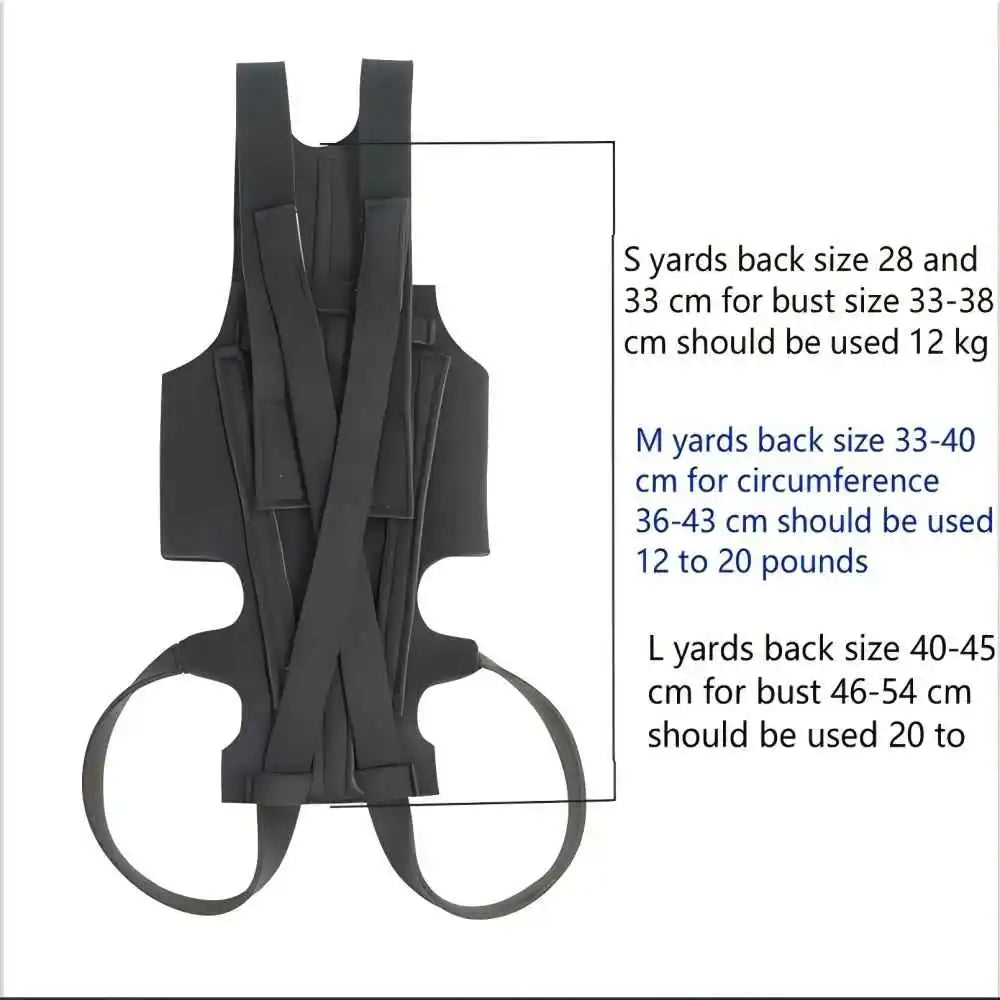 Faja Lumbar Ortopédica para Perros - Soporte IVDD