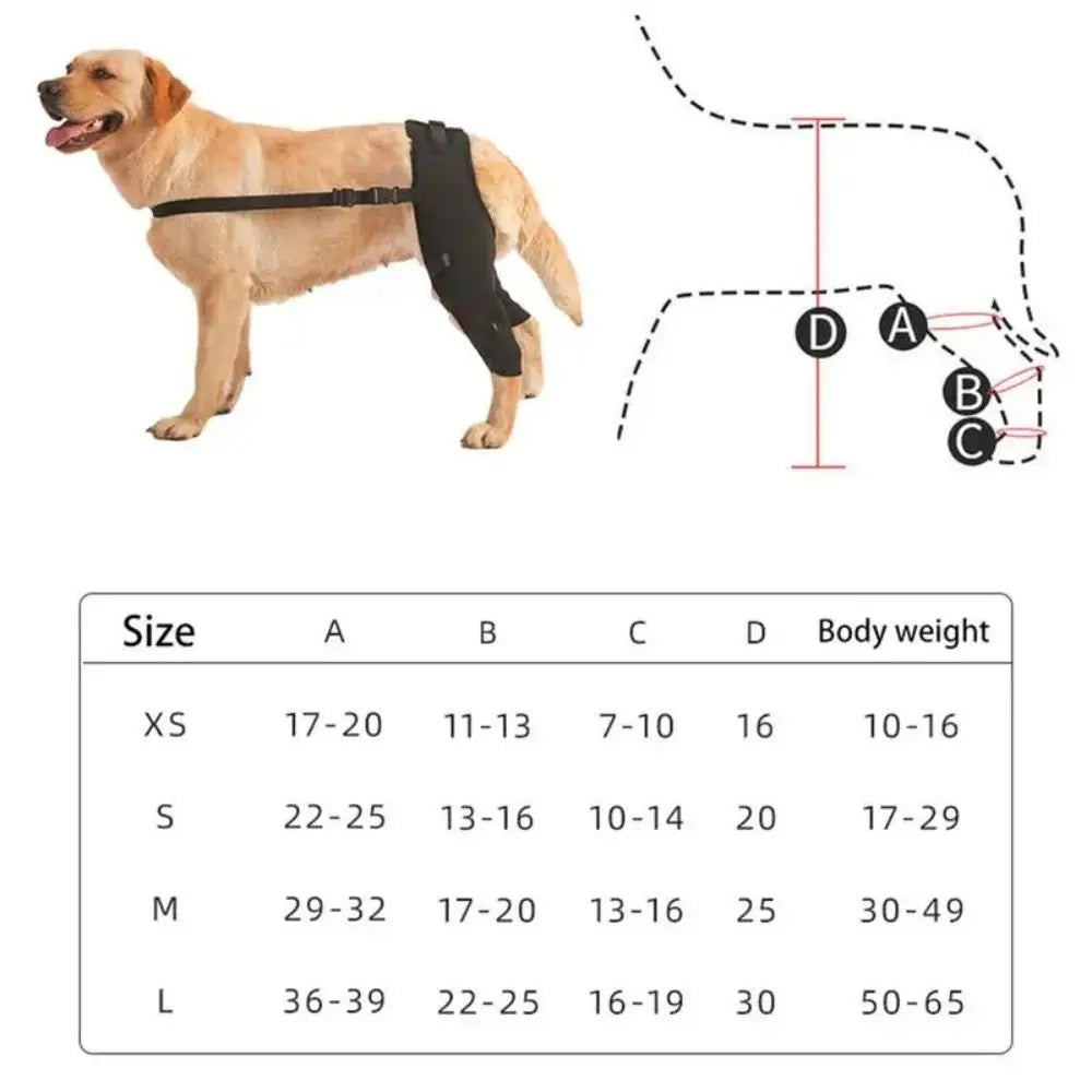 Rodillera ortopédica para perros - soporte articular trasero