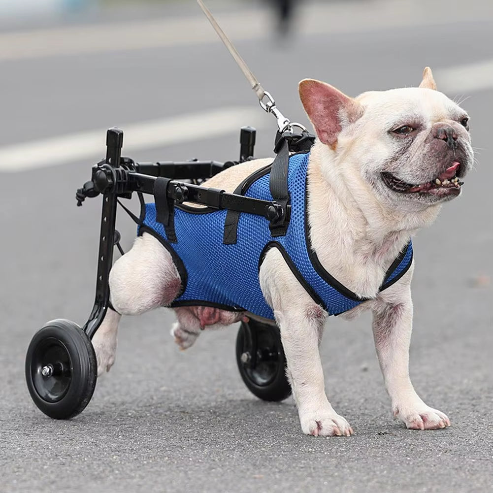 Silla de Ruedas Ortopédica para Perros — Rehabilitación y Movilidad
