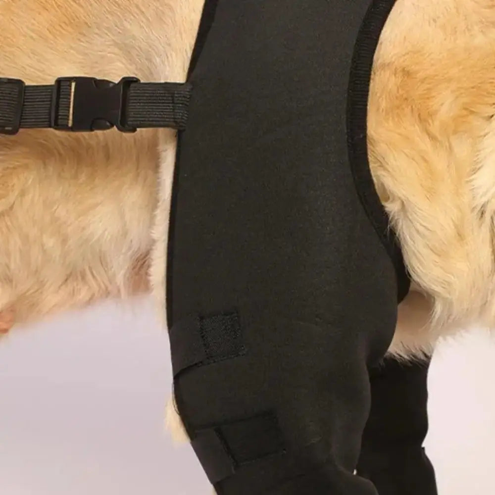Rodillera ortopédica para perros - soporte articular trasero