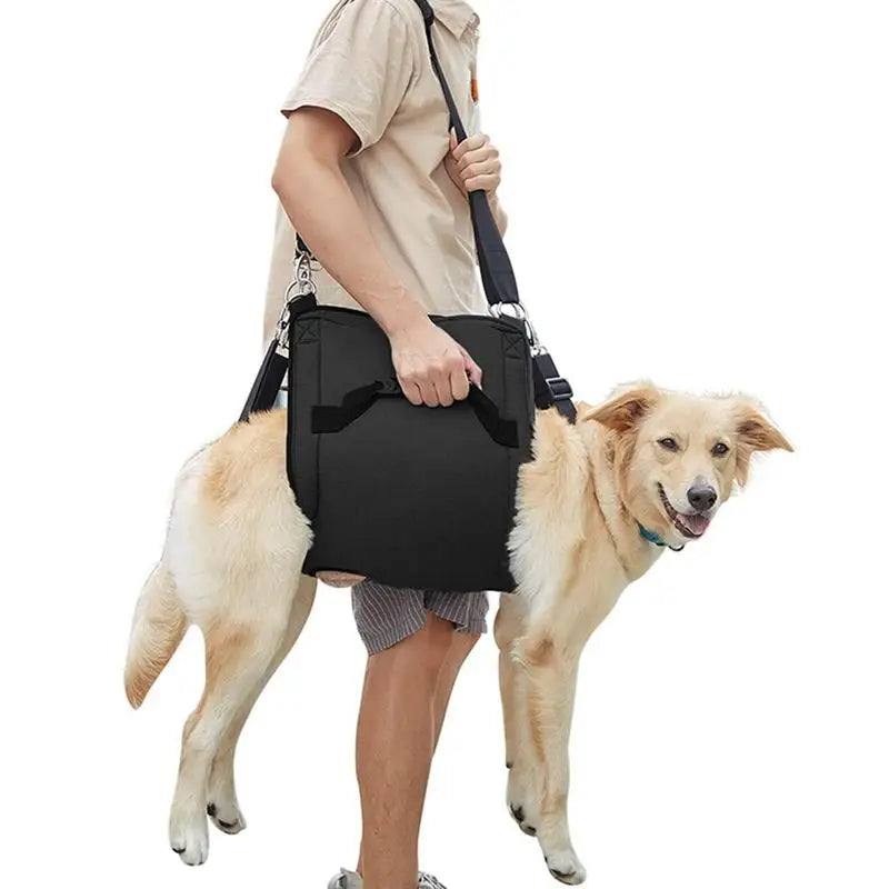 Arnés de Soporte y Rehabilitación para Perros