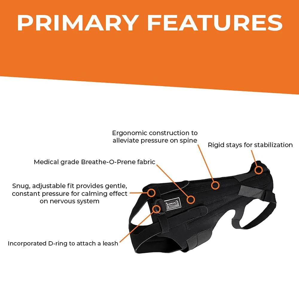 Faja Lumbar Ortopédica para Perros - Soporte IVDD