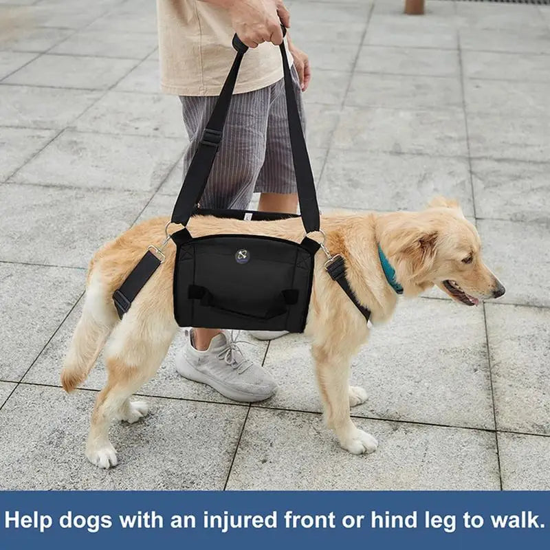 Arnés de Soporte y Rehabilitación para Perros