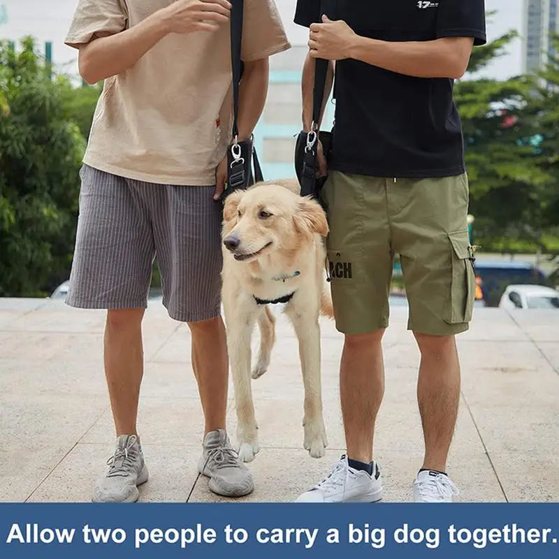 Arnés de Soporte y Rehabilitación para Perros