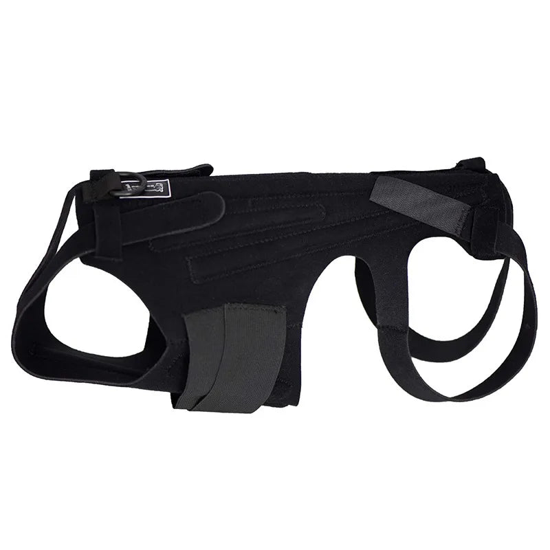 Faja Lumbar Ortopédica para Perros - Soporte IVDD
