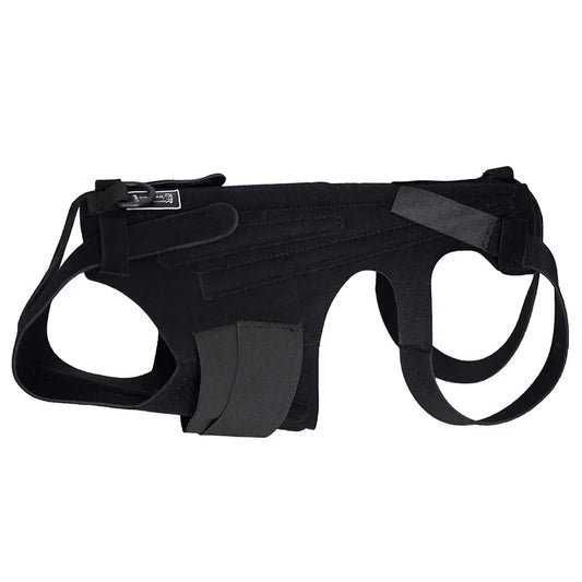 Faja Lumbar Ortopédica para Perros - Soporte IVDD